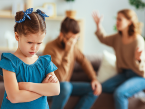 high conflict divorce in NC