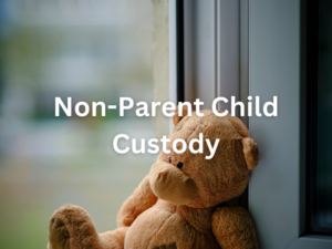 non parent child custody