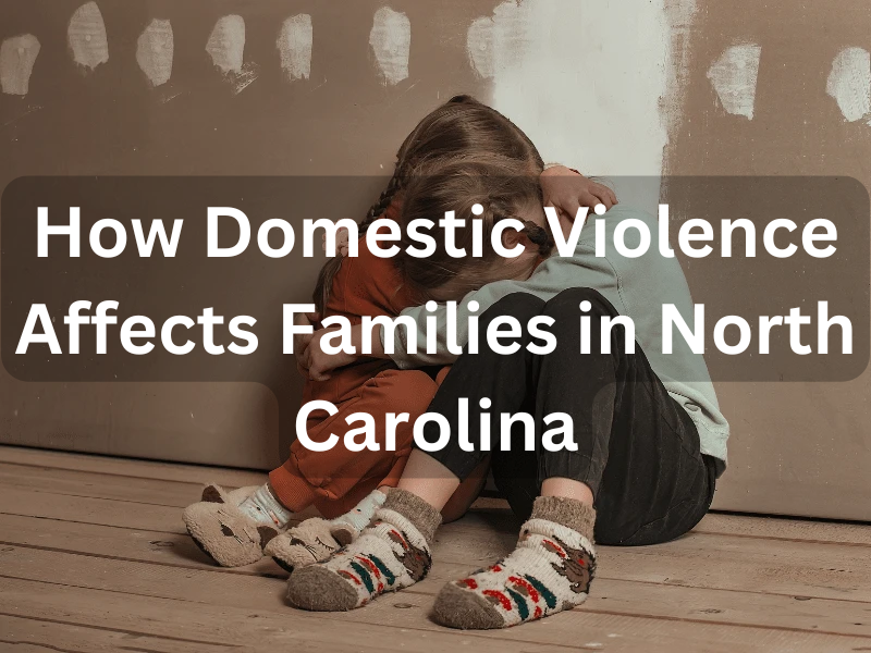 How Domestic Violence Affects Families in NC | Charles R. Ullman